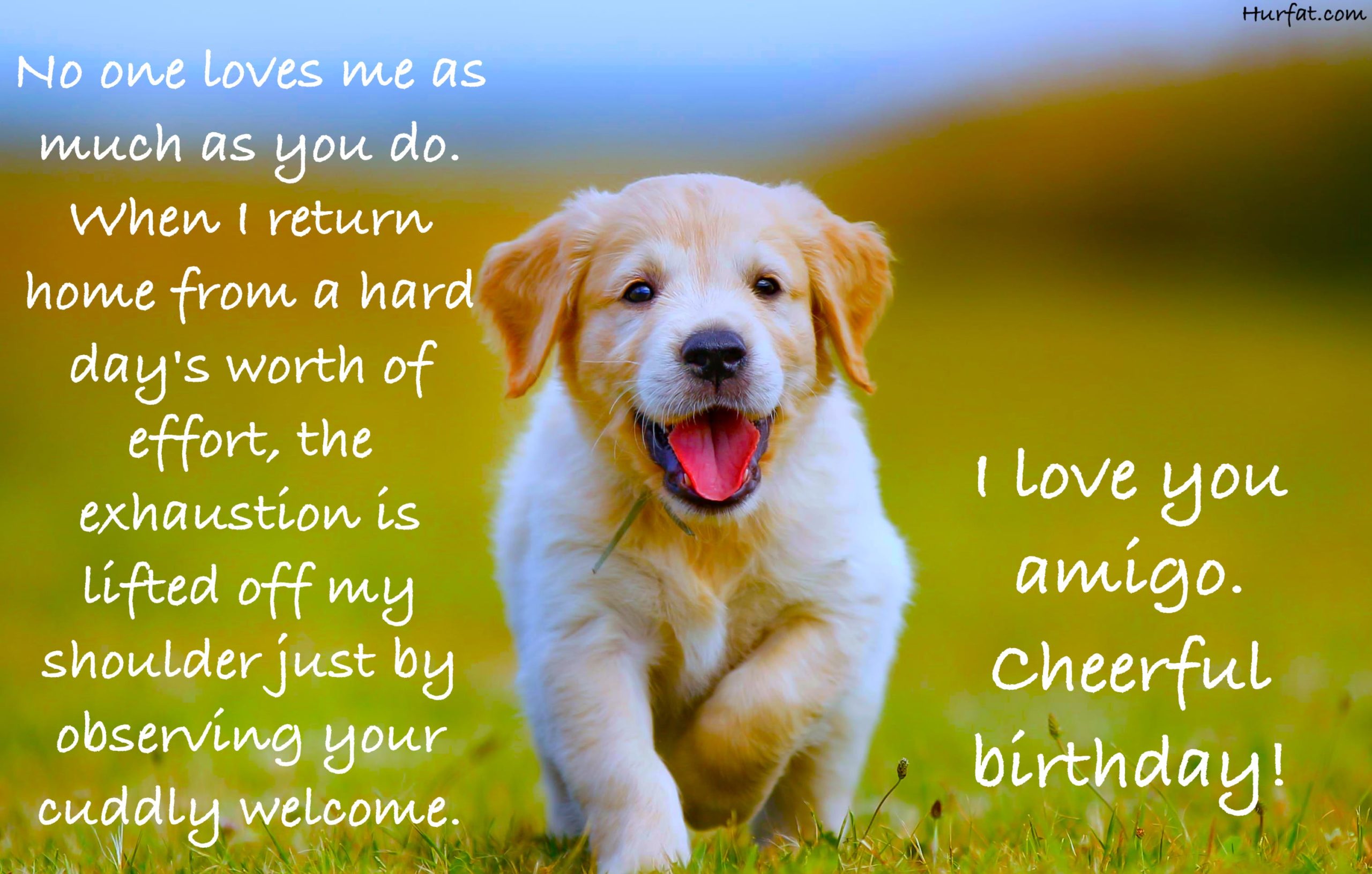Actualizar 57+ imagem happy birthday wishes for a dog - br.thptnganamst ...