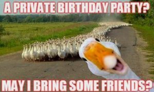 A Private Birthday Party? May I Bring Some Friends?