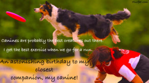 Happy Birthday Dog Wishes