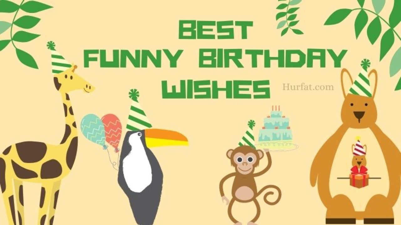 Funny Birthday Wishes || 90+ Funny Birthday Wishes Quotes, Messages & Ideas  